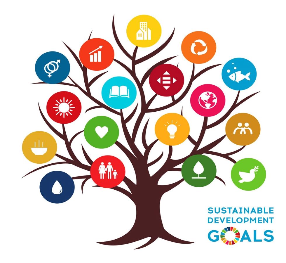 A Study on Consumption Pattern in India and Its Impact on Environment